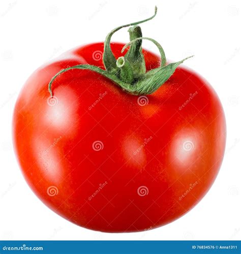 Tomate Isolado No Fundo Branco Foto De Stock Imagem De Alimento