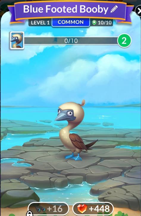 android update  wildlife rwordscapes