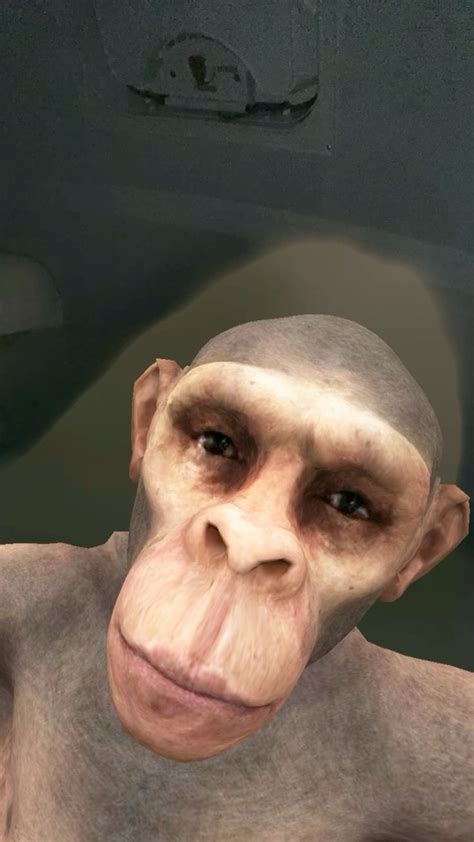 Sigma Monkey In 2024 Monkey Sigma