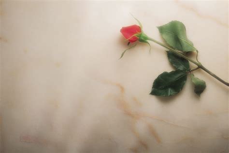 Funeral Backgrounds On Wallpapersafari