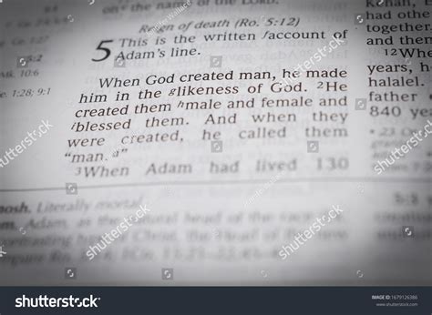 44 Genesis 1 3 Images Stock Photos Vectors Shutterstock