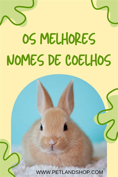 Nome Para Coelho F Mea