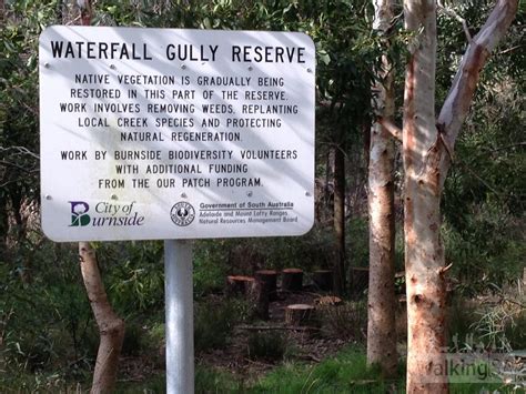 Waterfall Gully Road Walking Trail (along Waterfall Gully Road)