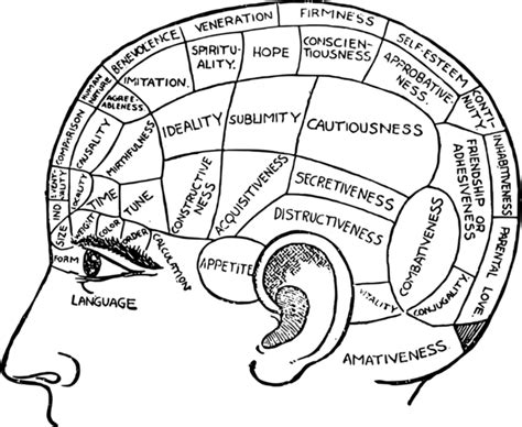 The Neuro-Scientific Basis of Morality | Psychology Today