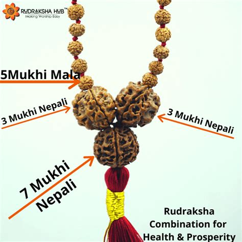 Rudraksha For Good Health And Prosperity