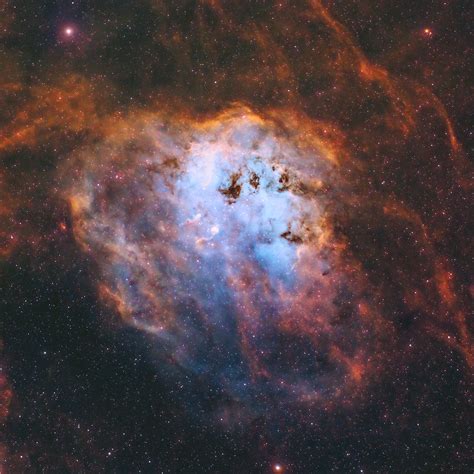 Tadpole Nebula Telescope Live