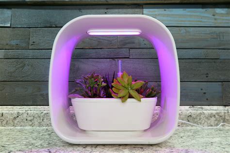 Halleck Horticultural Plantgeek Chic Led Growing Units