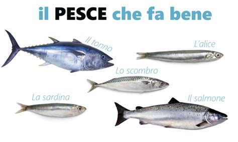 Quale pesce scegliere Qual è il pesce che fa bene