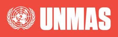 united nations  action service unmas geneve internationale