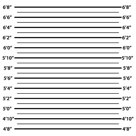 Mugshot poster with scale ft, feet. Crime suspect by police, prison