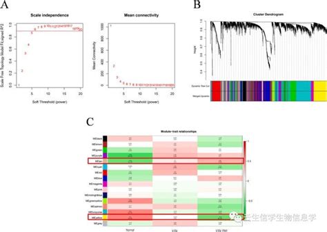 非肿瘤类纯生信文献解读：wgcna结合简单的免疫细胞丰度分析就能给我们带来惊喜（5） 知乎