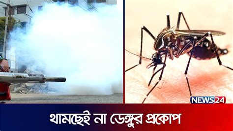 রেকর্ড করতে যাচ্ছে কি ডেঙ্গু সংক্রমণ Dengue Threat In Bangladesh News24 Youtube