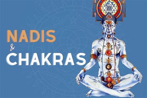 Nadis and Chakras: Working Mechanism of Subtle Body – Fitsri Yoga