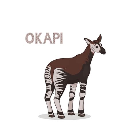 Premium Vector | A cartoon okapi, isolated