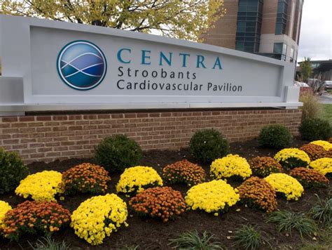 Cmg Stroobants Cardiovascular Center Lynchburg Centra Health