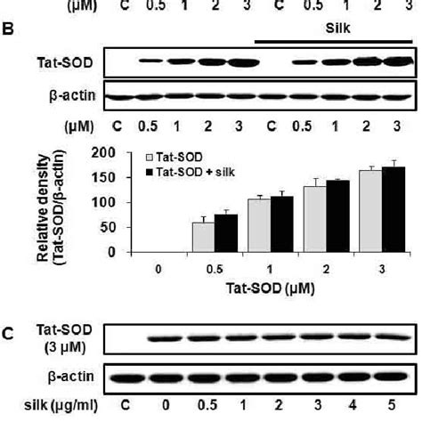 Transduction Levels Of SOD And Tat SOD Into HaCaT Cells In The Presence