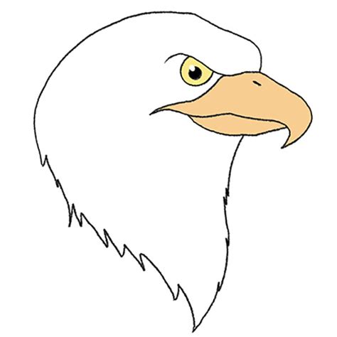 How To Draw An Eagle