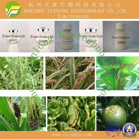 Price Preferential Fungicide Dimethomorph 95 TC 50 WP 80 WDG 10 EW