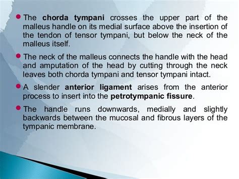 ANATOMY OF MIDDLE EAR CLEFT