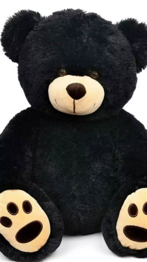 Big Black Teddy Bear Atelier Yuwa Ciao Jp