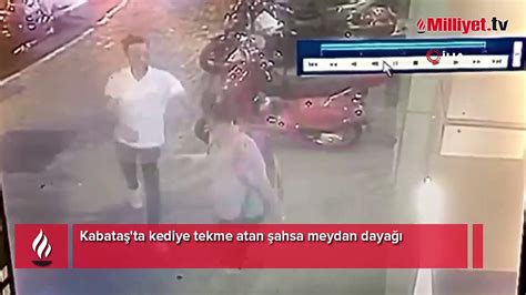 Kabata Ta Kediye Tekme Atan Ahsa Meydan Daya Dailymotion Video