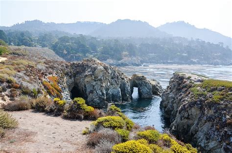 Point Lobos State Natural Reserve