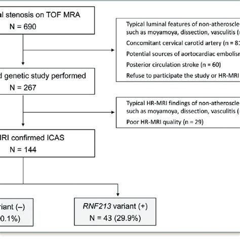 Patient Selection Hr Mri Indicates High Resolution Magnetic Resonance