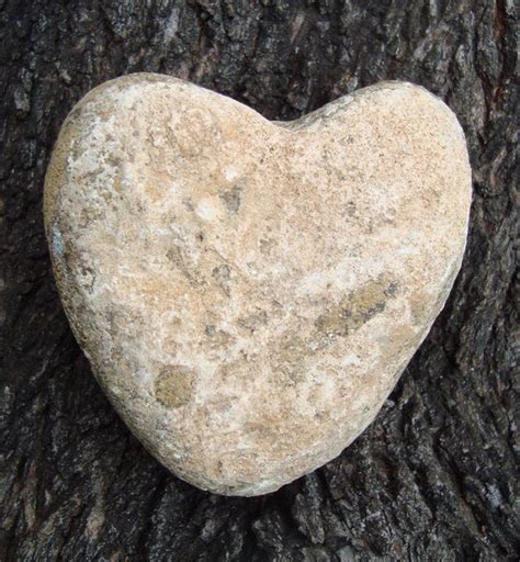 Albums 105 Pictures Heart Shaped Rocks In Nature Updated