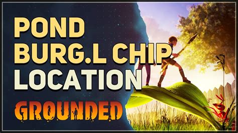 Pond Burg L Chip Location Grounded Youtube