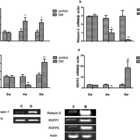 Relaxin 1 Relaxin 3 And Their Receptors Rxfp1 And Rxfp3 Levels In