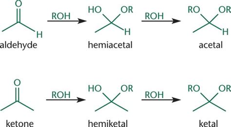 ORGO Flashcards | Quizlet