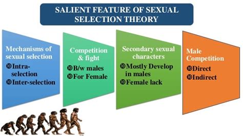 Sexual Selection Theory