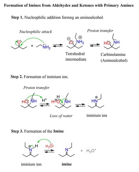 Formation Of Imines From Aldehydes And Ketones With Primary Amines