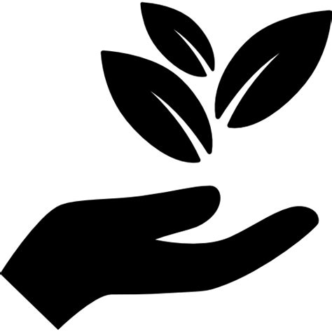 Hand Holding Leaves Free Vector Icons Designed By Freepik Plant