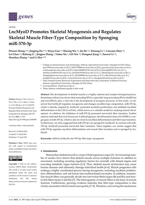 Pdf Lncmyod Promotes Skeletal Myogenesis And Regulates Skeletal