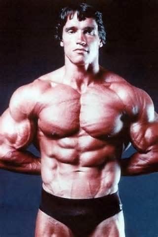 INFOPEDIA: Arnold Schwarzenegger workout routine