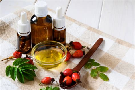 Rosehip Oil Vs Rosehip Seed Oil What Is The Difference Between Rosehip Oil And Rosehip Seed Oil