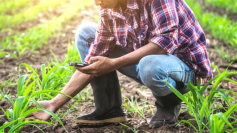 O Que Significa Agronomia