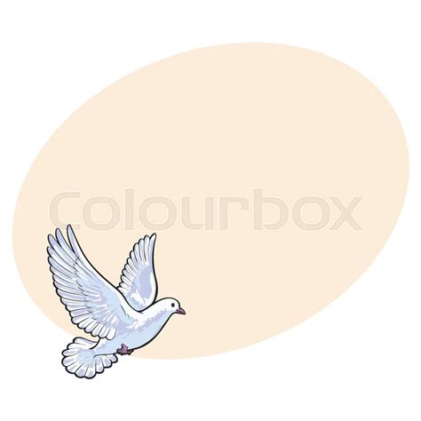 Free Flying White Dove Sketch Style Stock Vector Colourbox