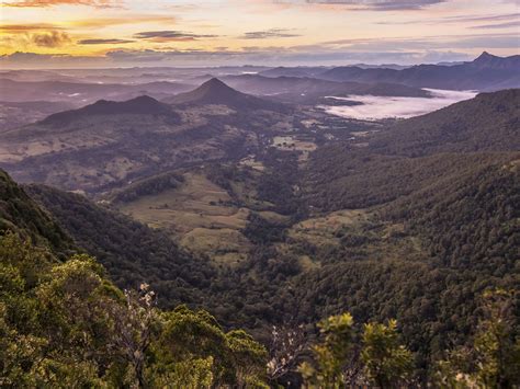 Lamington National Park Parks And Forests Department Of Environment Science And Innovation