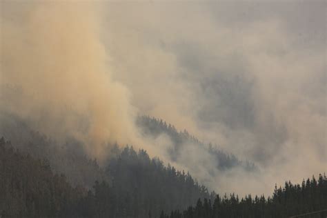 Mucho Más Voraces Menos Incendios Forestales Han Quemado Más Hectáreas