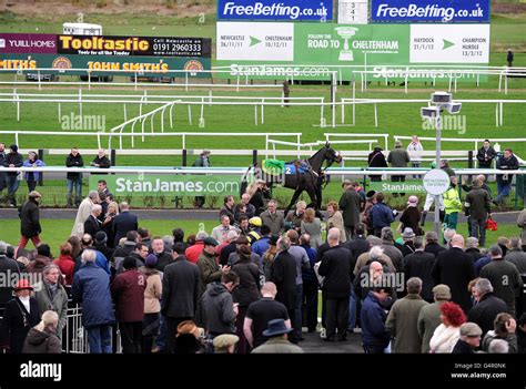 General View Of The Parade Ring At Newcastle Racecourse Stock Photo Alamy