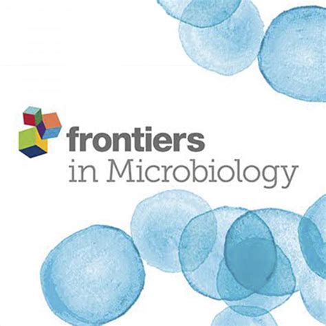 African Swine Fever Virus Ubiquitin Conjugating Enzyme Interacts With Host Translation Machinery