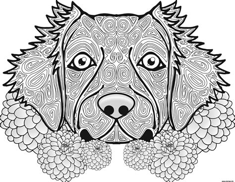 20 Coloriage Magique De Chien A Imprimer Color Info Porn Sex Picture