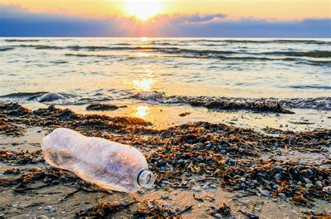 Bacteria Can Eat And Digest Plastic Earth