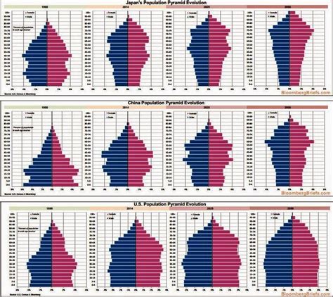 El blog de Droblo 3 pirámides demográficas