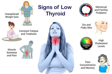 Hypothyroidism And Weight Gain Pathophysiology Blog Dandk