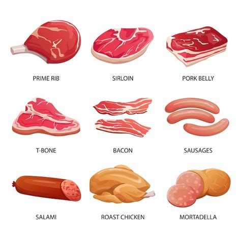 Premium Vector | Types of meat and meat products illustration