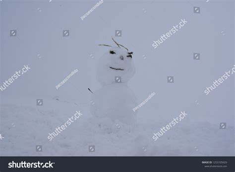 Heavy Snowfall Mt Halla Snowman Jeju Stock Photo 1253105929 | Shutterstock