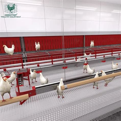 Hightop Automatic Livestock Broiler Breeder Chain Pan Feeding System